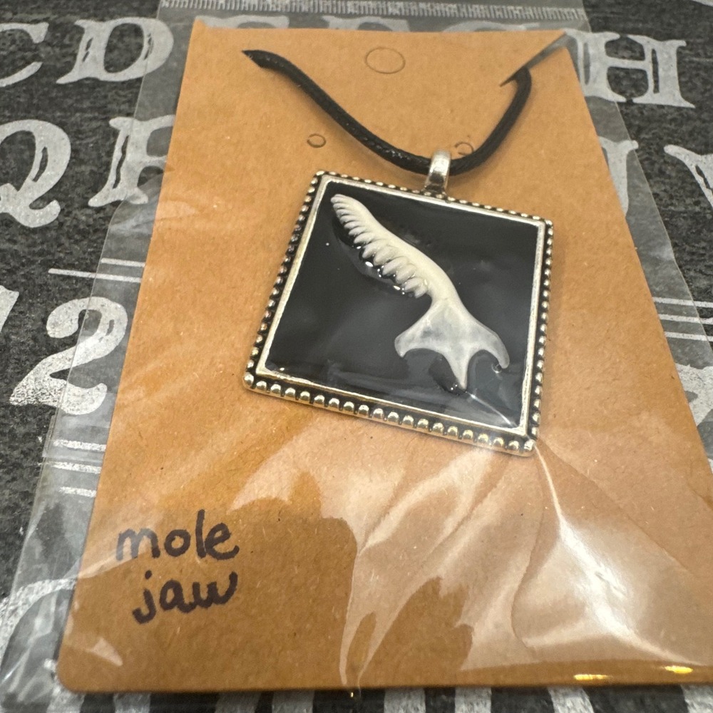 OOAK Handcrafted Taxidermy Oddities Animal Bone Pendant Necklace Mole Jaw‎